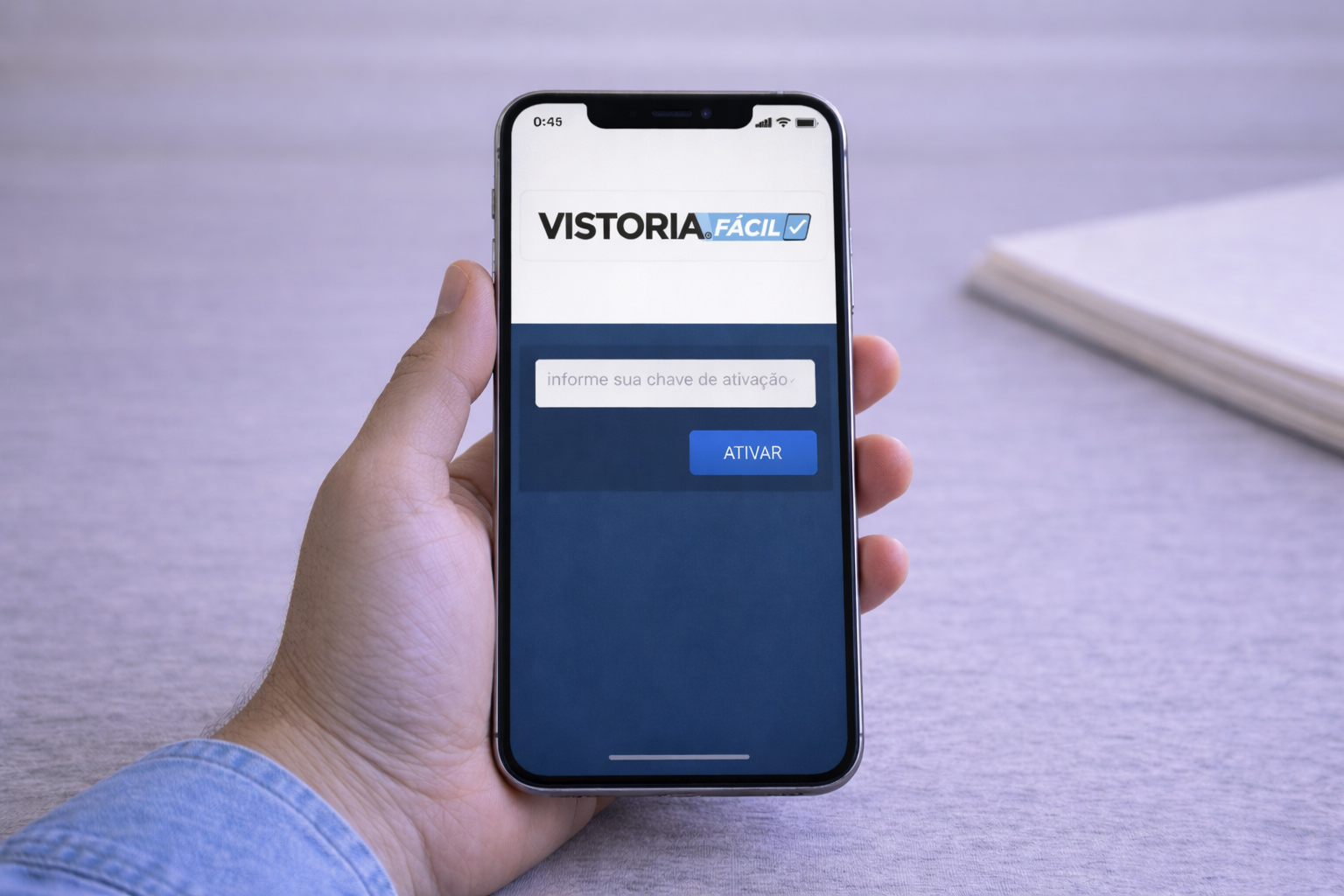 Vistoria Fácil - telas do sistema
